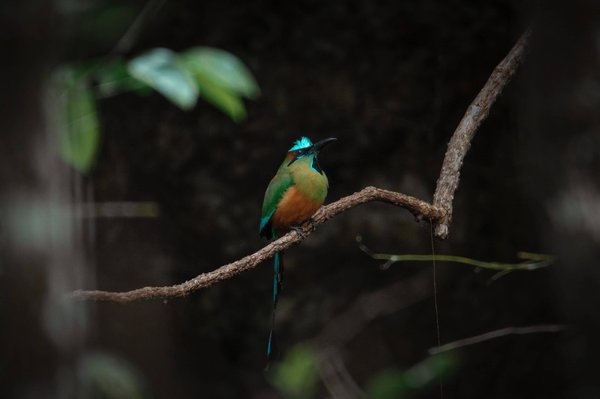 les clés d'un management efficace